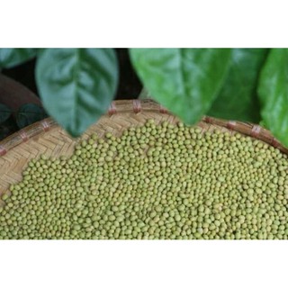 Tinh mầm đậu nành Hạnh Phúc 500gr