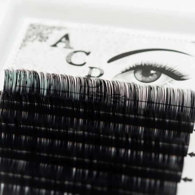 PHÚC HẬU  eyelash