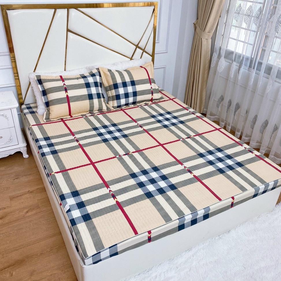 [FREE SHIP] Set Ga Cotton Chun Trần Bông Cao Cấp Kèm Hai Vỏ Gối, Ga Chun Trần 3 Lớp Hàng Loại 1