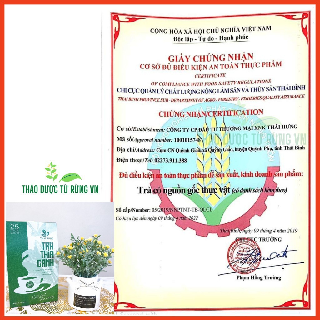 [Mã 267FMCGSALE giảm 8% đơn 500K] Trà Thìa Canh Thái Hưng Khắc Tinh Của Tiểu Đường 25 Túi Lọc 125g Thảo Dược Từ Rừng VN | BigBuy360 - bigbuy360.vn