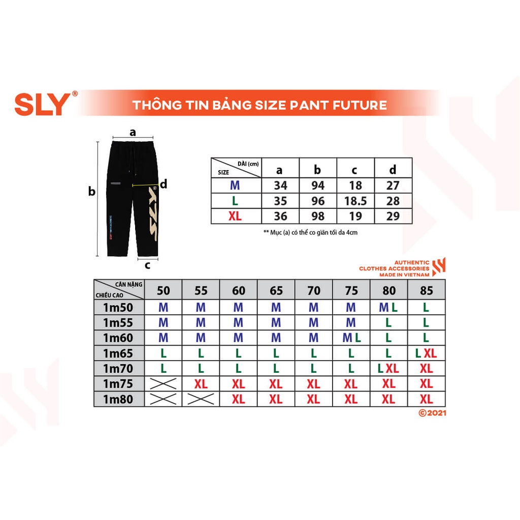 Quần vải Picigen SLY Future màu đen