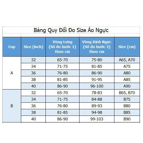 Áo Ngực Lovely xuất Nhật mút nâng dày cup nguyên quả hai cài 476