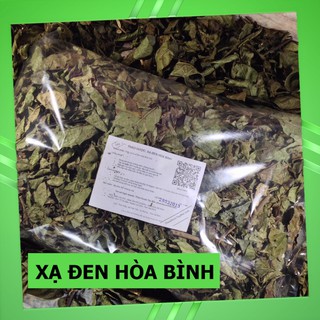 Cây Xạ Đen Lá Răng Cưa 💟FREESHIP💟 Giảm Ngay 20K Khi Nhập [DUOCL20K]