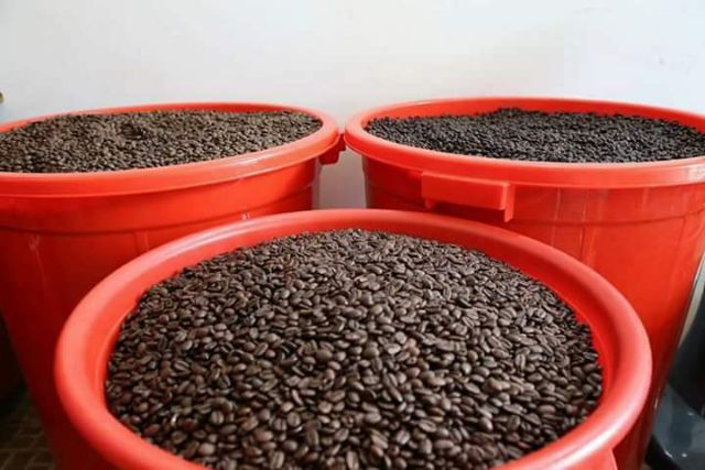 Cà phê Đaklak nguyên chất_500gr | BigBuy360 - bigbuy360.vn