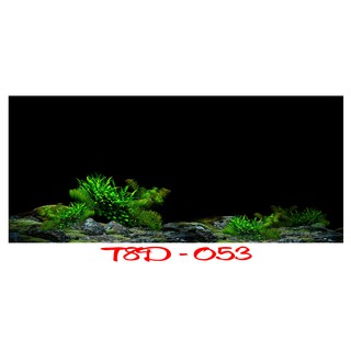 Tranh 3d bể cá mã t8d-053 kt