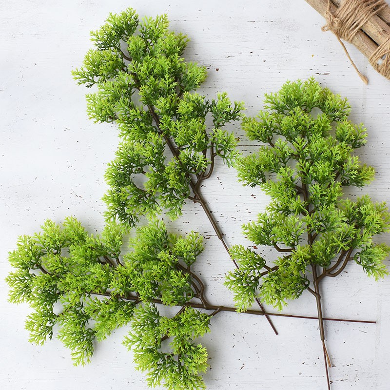 Mô hình lá Tùng bách  - Tráng trí gỗ, lũa bonsai tuyệt đẹp - Hàng chất lượng cao, màu tự nhiên.