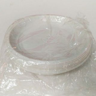 Đĩa nhựa dùng 1 lần (50c)