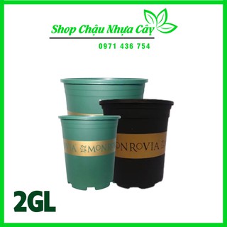 Chậu nhựa monrovia việt nam 2gl