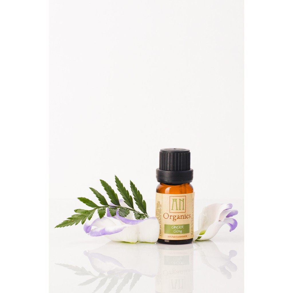 Tinh Dầu Gừng An Organics
