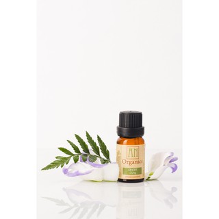 Tinh Dầu Gừng An Organics