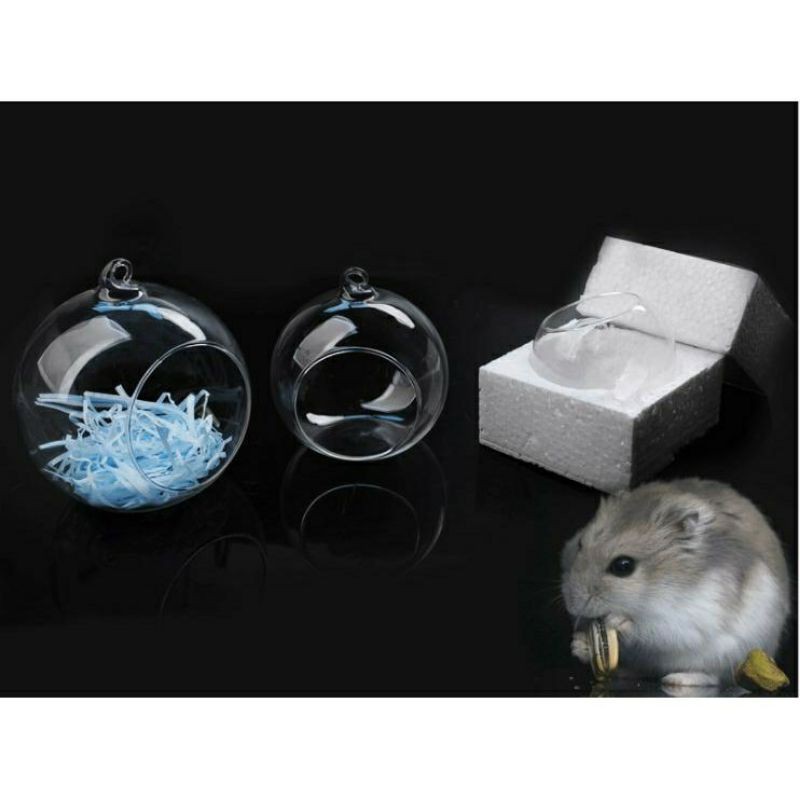 Nhà ngủ thủy tinh treo lồng Hamster(Nowship,Grap)