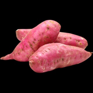 Khoai lang 1kg - tân phú