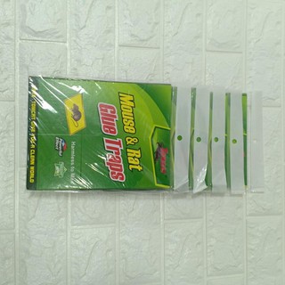Combo 10 miếng dính chuột cao cấp