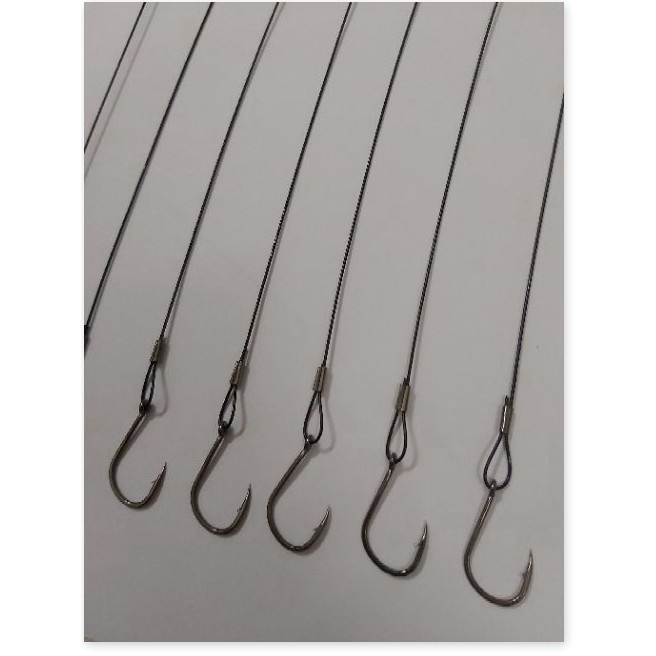 10 DÂY CÁP CÂU CÁ CHIM KÈM LƯỠI - DIHOSO FISHING