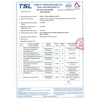 Bột Protein thực vật Lintamin Sachi