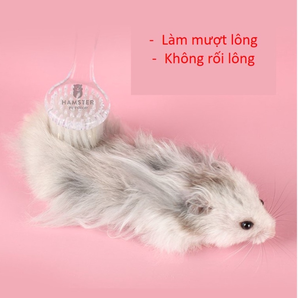 Lược chải lông hamster , thỏ , bọ , sóc