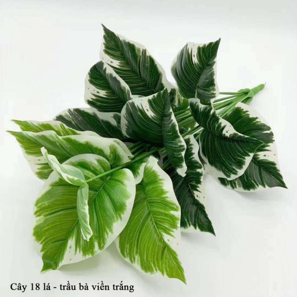 Cây Giả - Cây trầu bà, vạn niên thanh 18 Lá Cỡ To 90cm