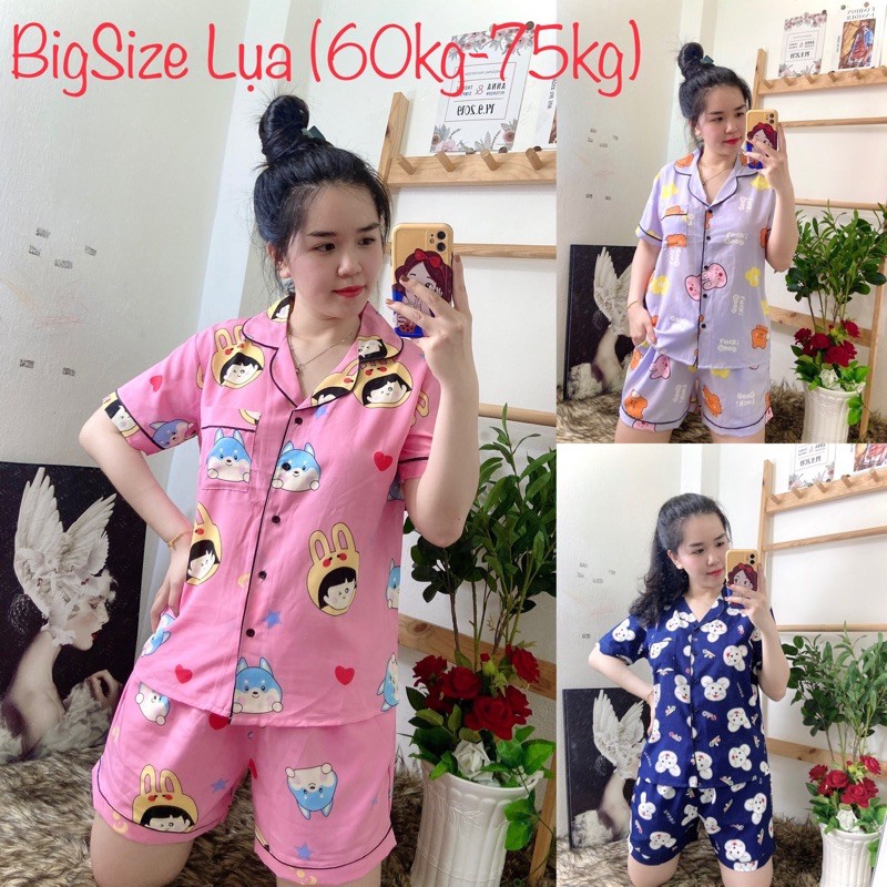 (Bigsize) Đồ Bộ BigSize Pijama Lụa Hàn Đùi ( 60kg-75kg) P2