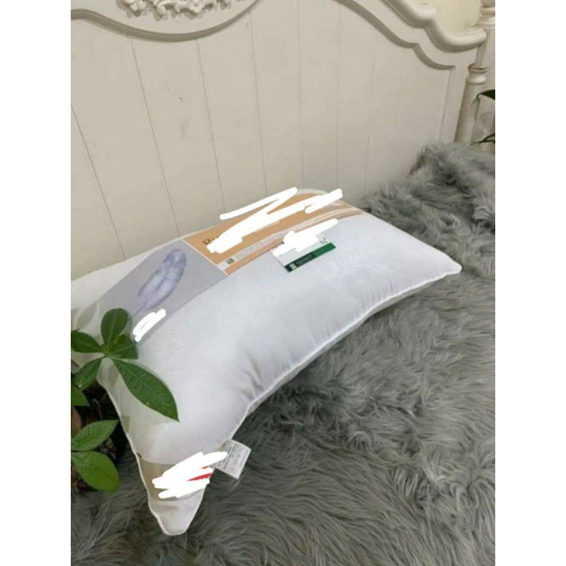 2 RUỘT GỐI TRẮNG 1,3 KG