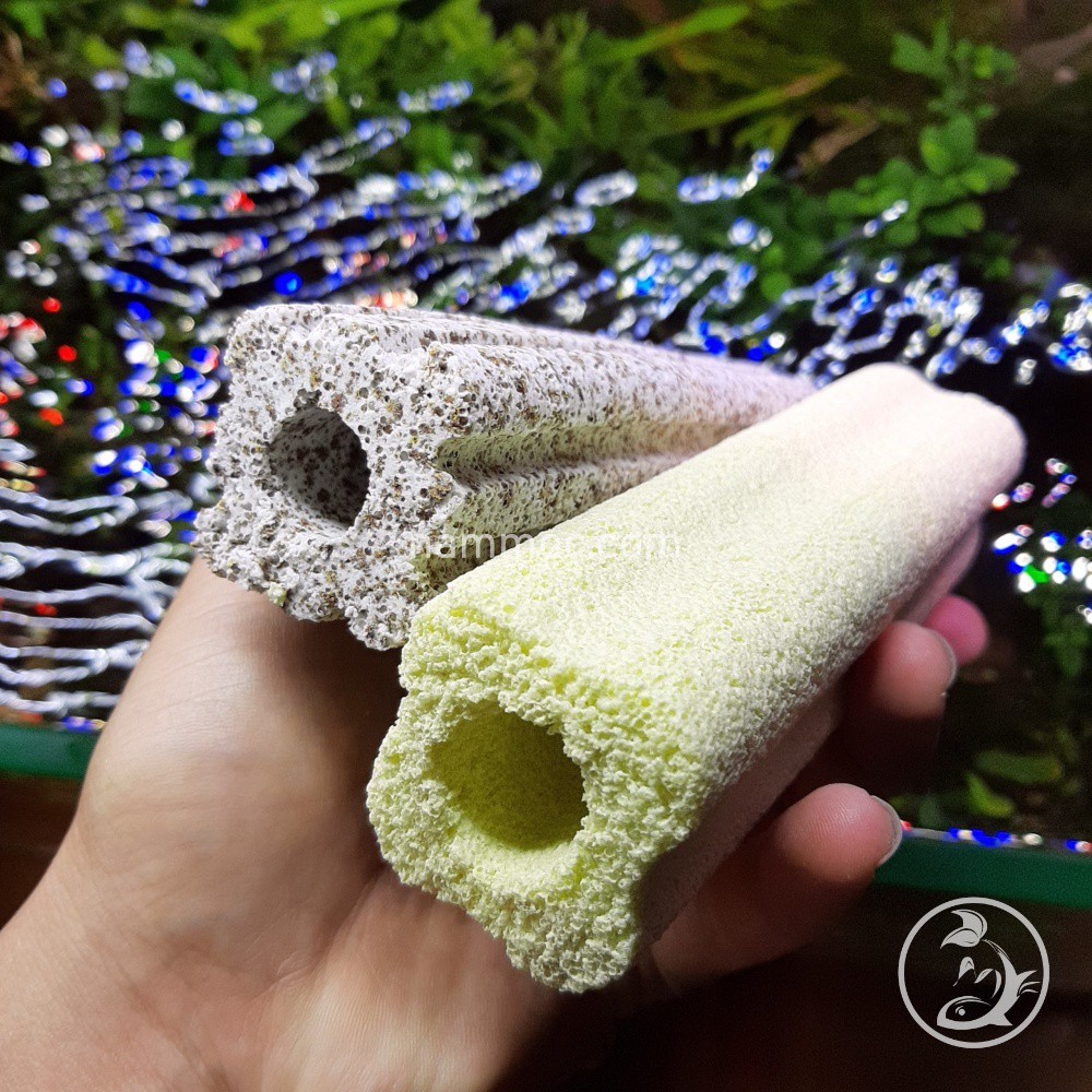 Sứ Thanh Hoa Mai - Thanh Muối Tiêu | Sứ Lọc Nước Cho Bể Cá Cảnh, Thuỷ Sinh