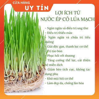 0.5KG CỎ LÚA MẠCH NHẬP KHẨU ÚC - DATE MỚI