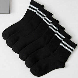 Set 6 đôi vớ cổ cao màu sắc đơn giản cho nam nữ