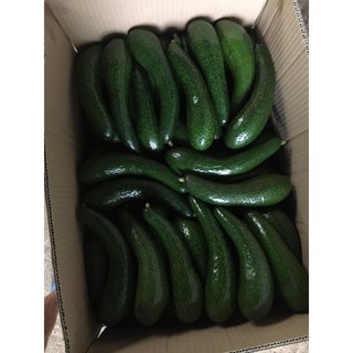 1kg bơ 034 size nhỏ