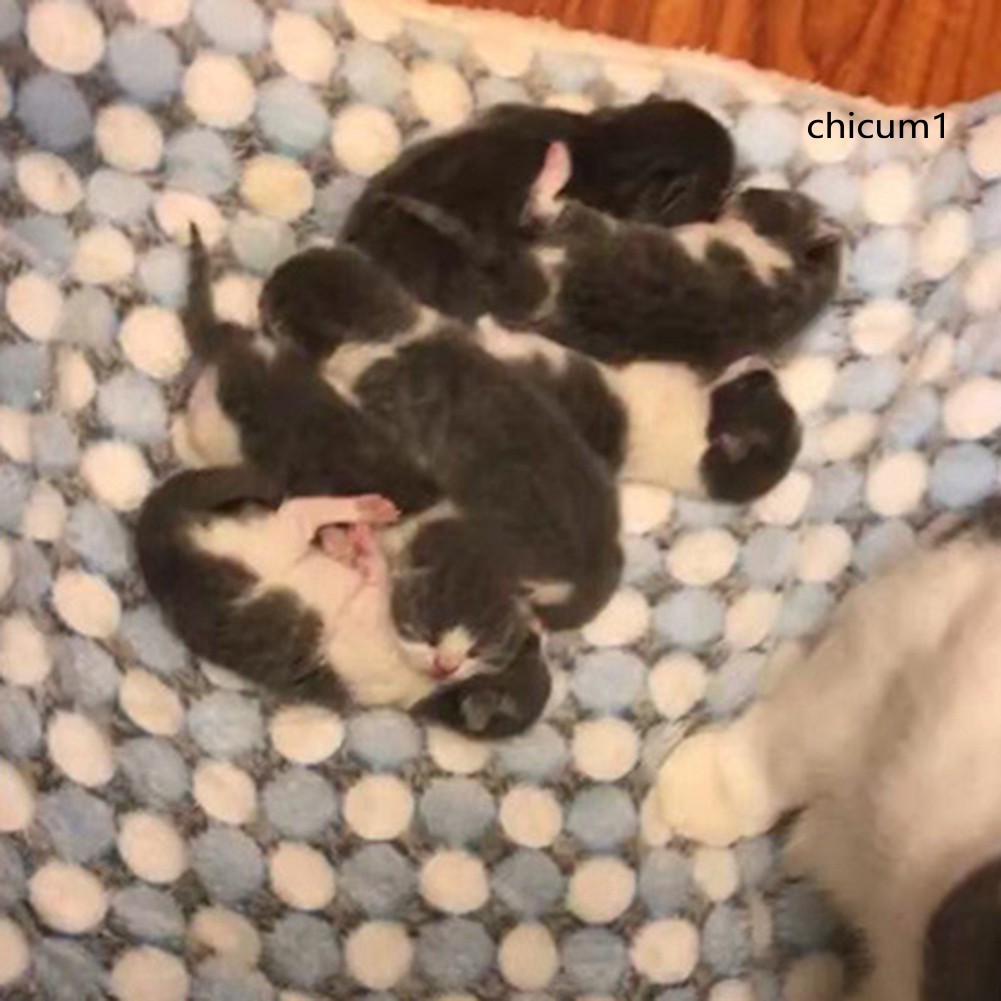 Thảm Ngủ Mềm Mại Cho Thú Cưng Ch4