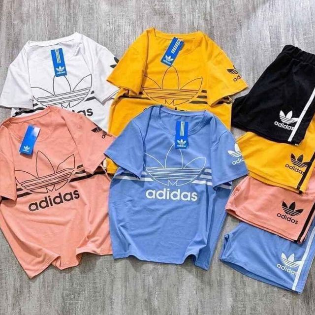 Hành khách chọn live A425 | BigBuy360 - bigbuy360.vn