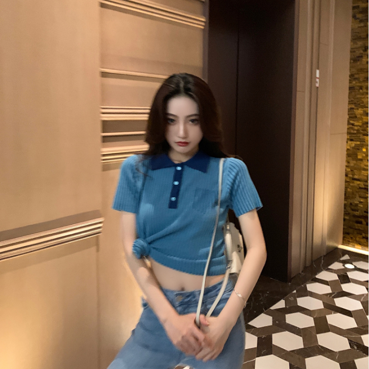 Áo Thun Tay Ngắn Cổ Polo Họa Tiết Kẻ Sọc Xinh Xắn Cho Nữ | BigBuy360 - bigbuy360.vn
