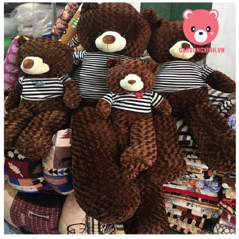 Gấu Bông Teddy Socola Siêu to khủng lồ 1m6 - 2m, Thú Nhồi Bông Kích Thước Khủng làm quà tặng trang trí nhà cửa  đồ chơi