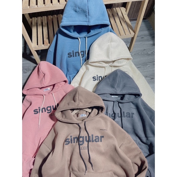 Áo nỉ hoodies mũ 2 lớp in chữ hàng đẹp