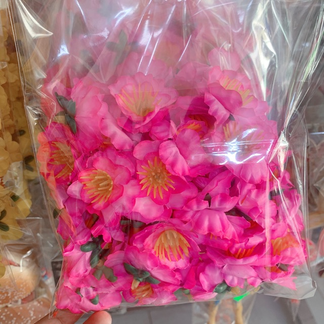 Hoa mai (đào) rời