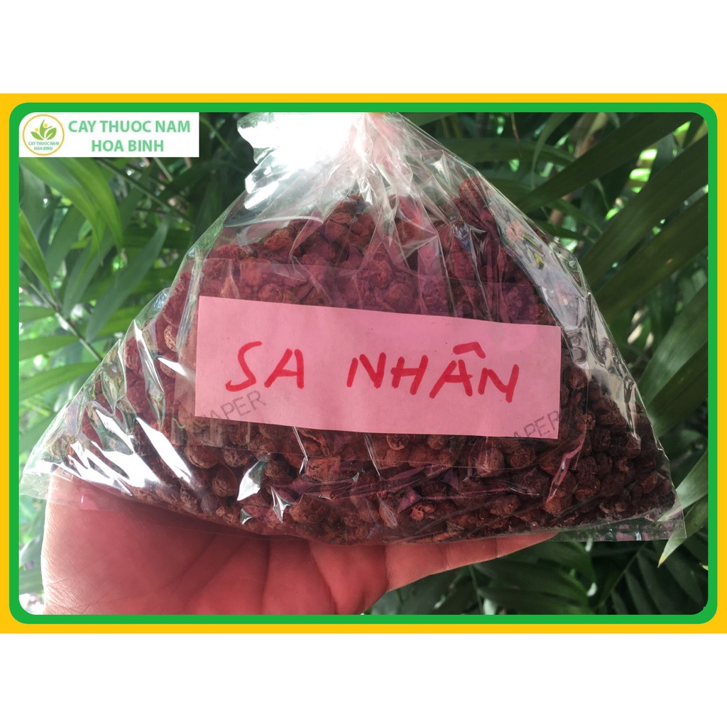 100g sa nhân (sạch, thơm, chuẩn)