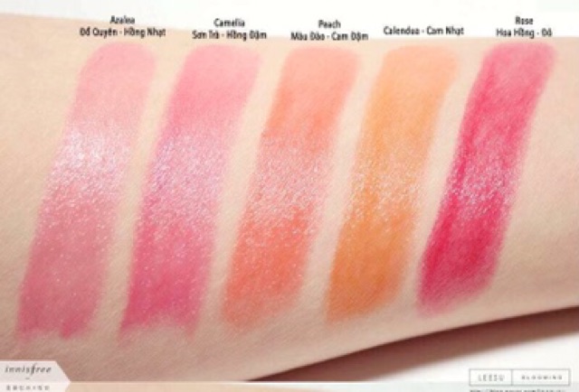 💕Son Dưỡng Môi Innisfree Glow Eco Flower Tint Balm . #1xx💕