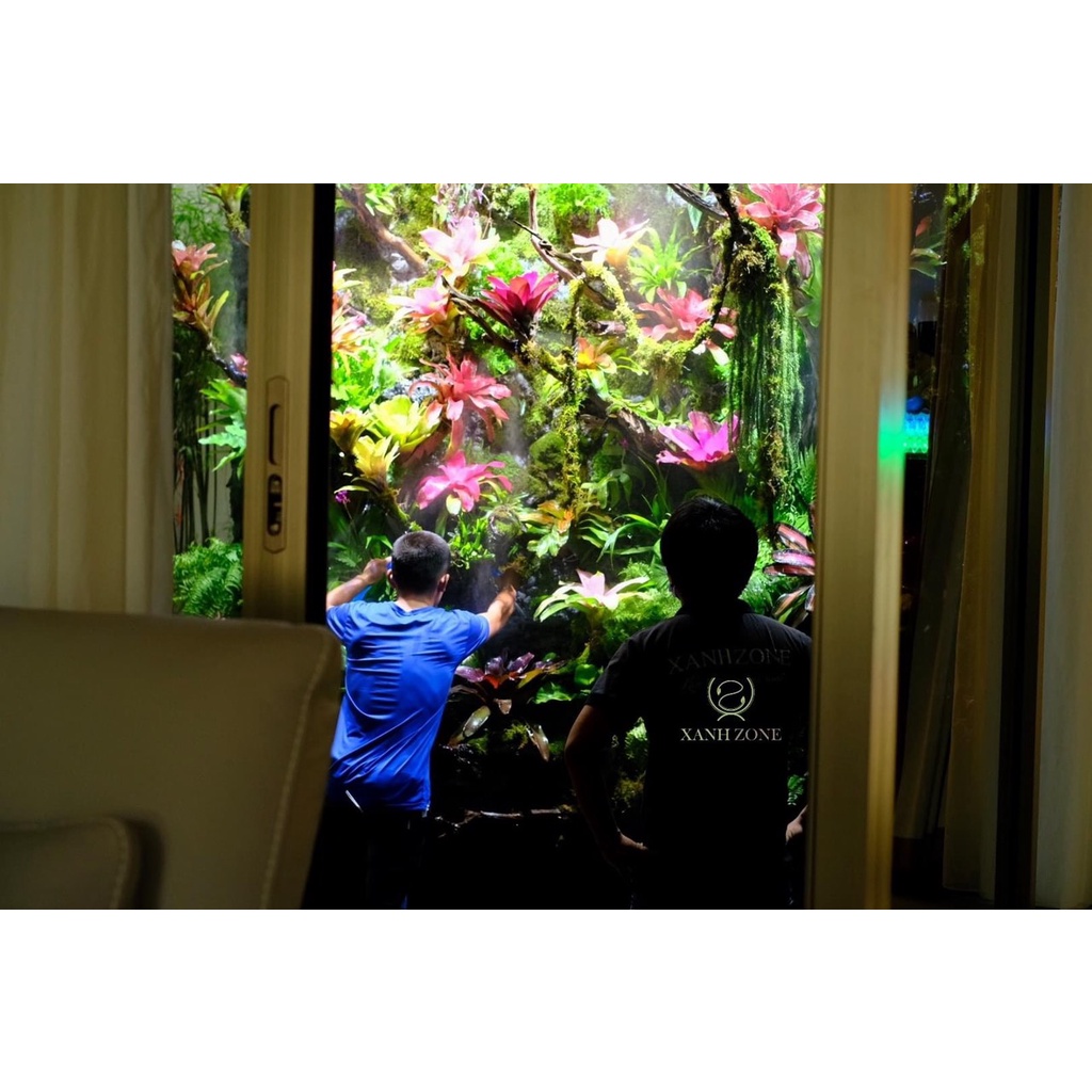 1 kg rêu tươi wepping trải nền hồ bán cạn, landscape, chậu cây, non bộ, bonsai