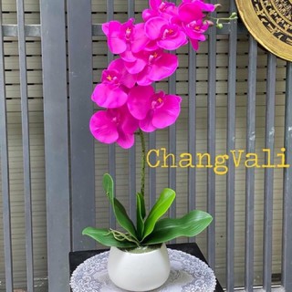 Hoa giả - Chậu lan cao su siêu đẹp