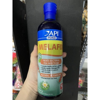 API Pimafix Melafix POND 437ml dung dịch khử khuẩn, chữa nấm túm lắc cho cá của Mỹ ]