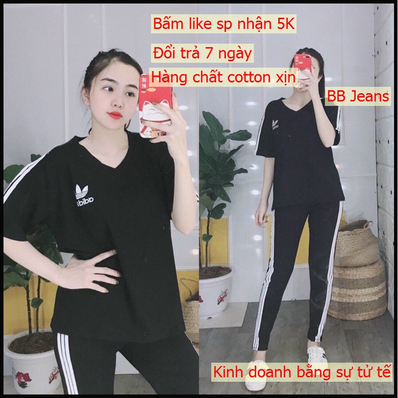 [40-85KG] Đồ bọ nữ kiểu set đi chơi cute, SET đồ bộ nữ đi chơi chất cotton xịn 4 chiều ADD bất ngờ Panda Store