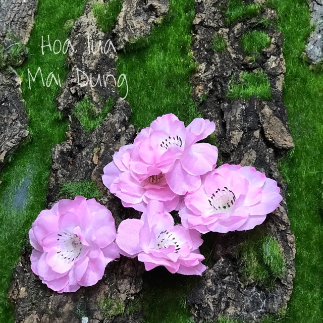 Bông đào rời