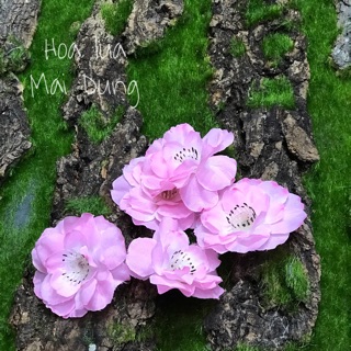 Bông đào rời