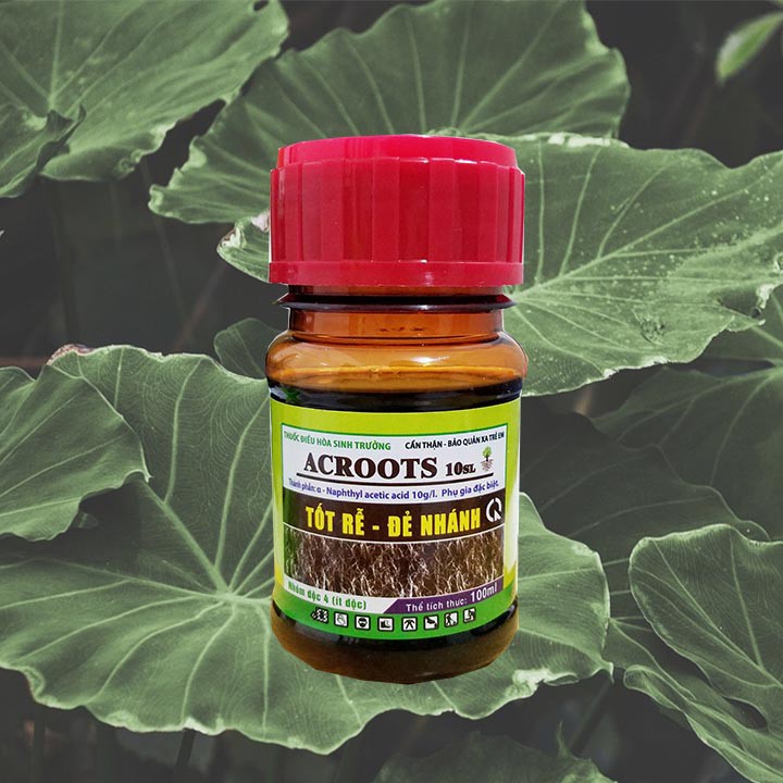 Điều hòa sinh trưởng cây trồng Acroot 100ml