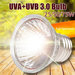 Đèn sưởi ấm cho thú nuôi bò sát 25/50/75W 110V E27 UVA+UVB