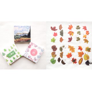 Combo Trang trí – Bộ hộp sticker cho scrapbook và lá nhựa chụp ảnh thanh lý