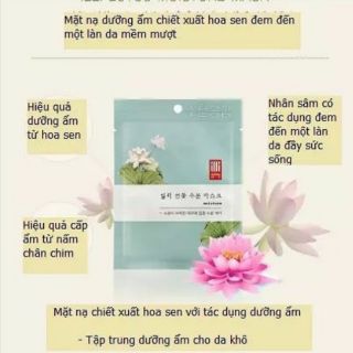 Mặt nạ chiết xuất thảo dược Illi