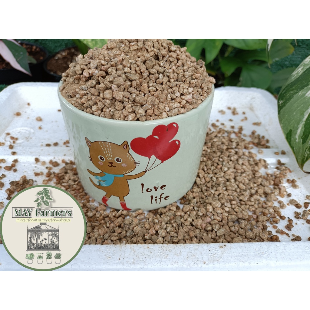 Đá Khoáng MASATO Rải Mặt Chậu Cho Xương Rồng - Sen Đá