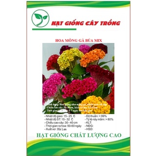 Hạt giống hoa mồng gà búa nhiều màu ct446 - gói 50 hạt
