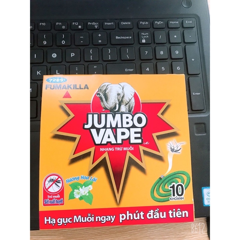 Hương muỗi - nhang trừ muỗi Jumbo Vape hộp 10 khoanh hương hoa lài