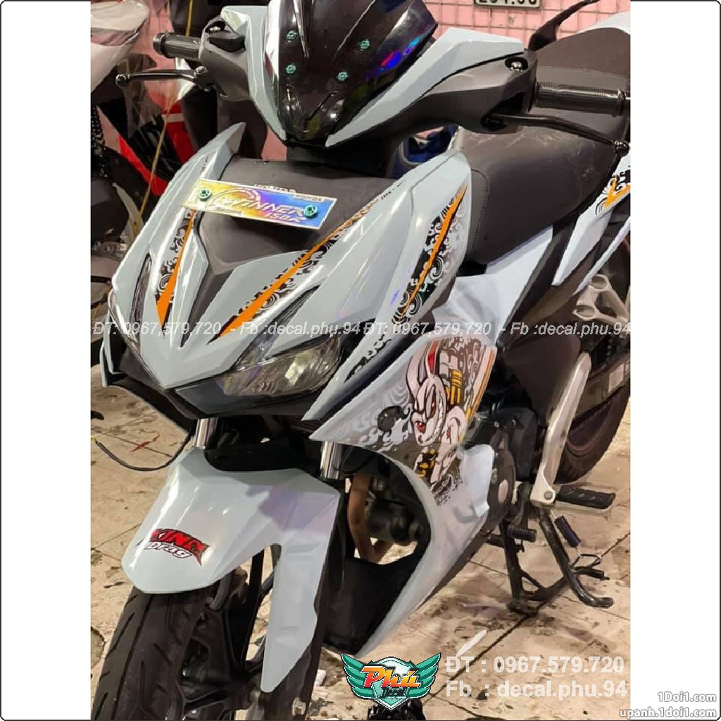Tem Rời Winner X Xi măng thỏ (J)