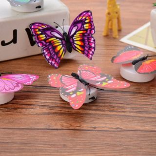 Combo 10 bươm bướm dán tường có đèn led